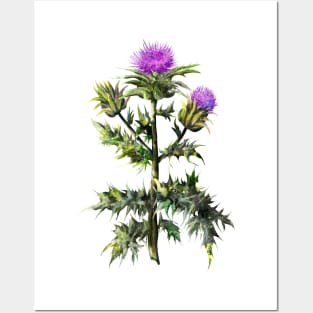 Thistle watercolor print Posters and Art